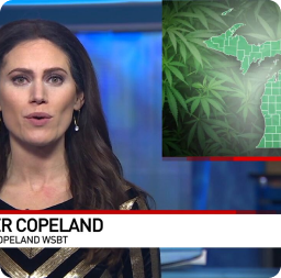 A woman giving the news about the world of marijuana 