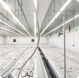 largest indoor cannabis grow in Michigan-305 Farms